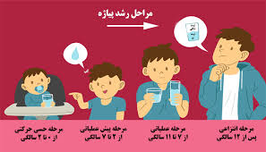 پاورپوینت نظریه رشد شناختی پیاژه